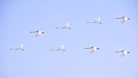 路透社：Embracer Group考虑出售Gearbox娱乐